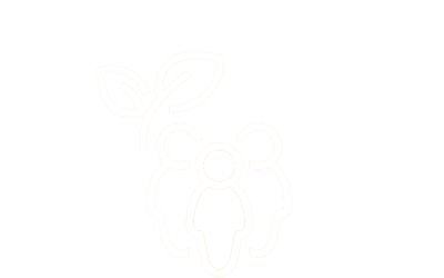 LIL-PARTIKUL