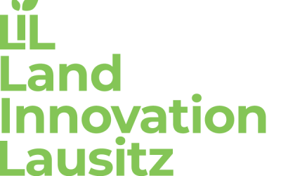 Innovations-Workshop IB Pflanze