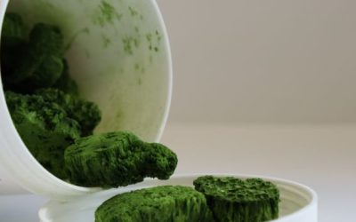 Workshop „Lausitz-Biomaterial: Ressourcen – Prozesse – Produkte“