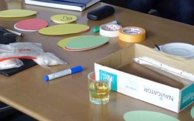 Workshop zur Bioökonomie-Strategie des Landes Brandenburg