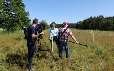 TV- Beitrag: Trüffel aus der Lausitz
