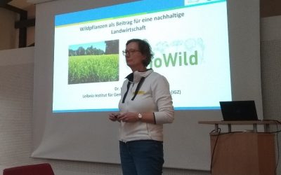 Regionale Ressourcen nutzen – Wildpflanzenanbau in der Lausitz