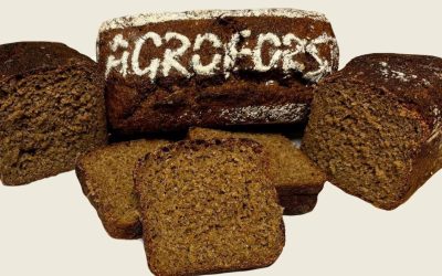 Brot und (Rühr)Ei aus dem Agroforst