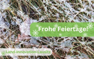 Wir sagen DANKE für ein tolles Jahr und wünschen frohe Festtage!