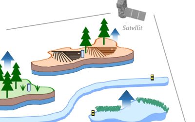 Neue Publikation: Entschlüsselung der regionalen Wasserhaushaltsdynamik in anthropogen geprägten Niederungen. Ein datengestützter Ansatz
