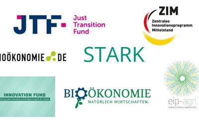 Wie weiter nach der Förderung?